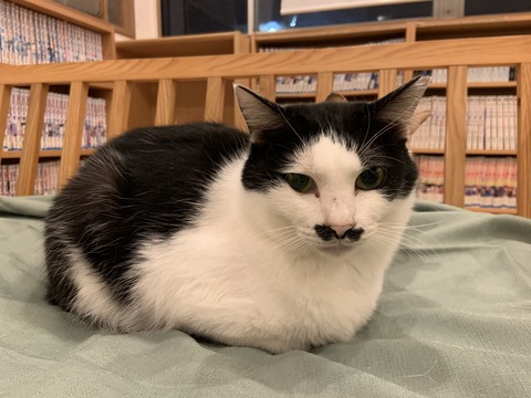 663F9BCC-4AFF-4FA0-A0F3-45FC585473A0