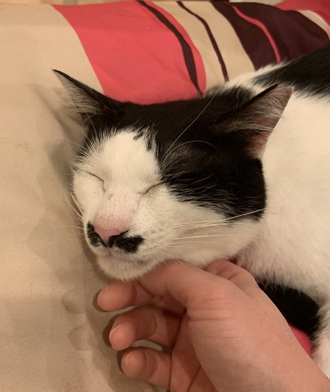 713FB5FB-2D6D-49FA-A14D-B0D6D6C5AD85