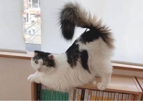 B6D09D32-5051-49FA-8343-1FF97AC78502