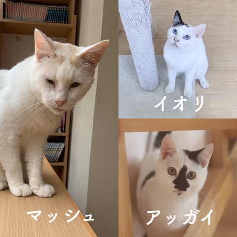 60A7F367-50B7-4332-82C6-637E54700518