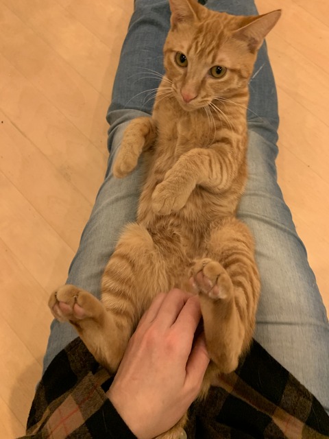 F37CA826-84E0-4437-8A68-1AA261AA1408