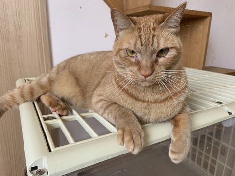 553CC125-179B-4D13-9FE5-A795140B0FE0