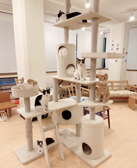 EF5358C2-DC34-466A-A43E-509D32EEE95C