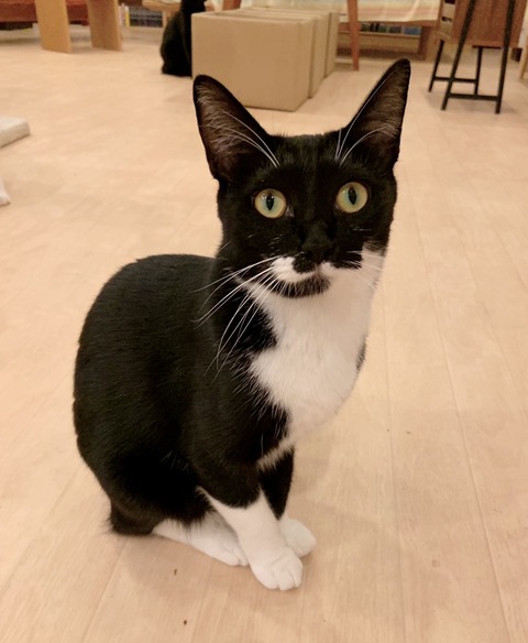 B860FE98-2B4A-4903-82A6-FEA59E361DC2