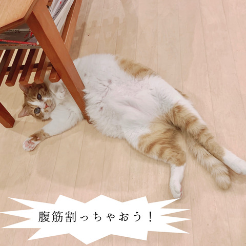 D2D37911-00E9-4BD4-A027-A1F807DA7106
