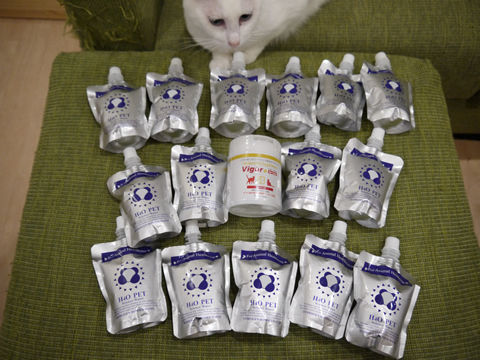 猫式ブログ~里親募集型猫カフェ