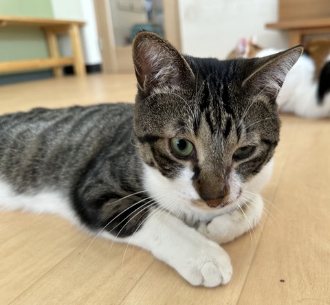 AF38EC17-E306-4920-8724-ABFBFE8346A7