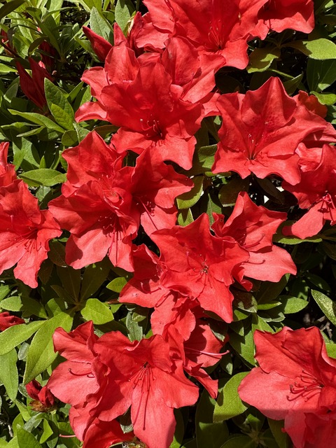 FD9D82BF-1692-48C2-997C-3561F7822E5A