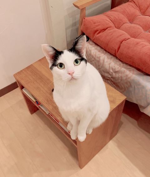 E26D8D83-5576-45A2-AEE4-B4632B24F12F