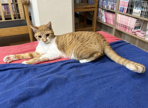 2F9A13C7-B3B4-40E6-A2F8-1AA1A7D7EBBA