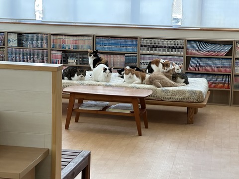 8C6FE61E-3FA2-4C9C-9055-4266C14C1CA1