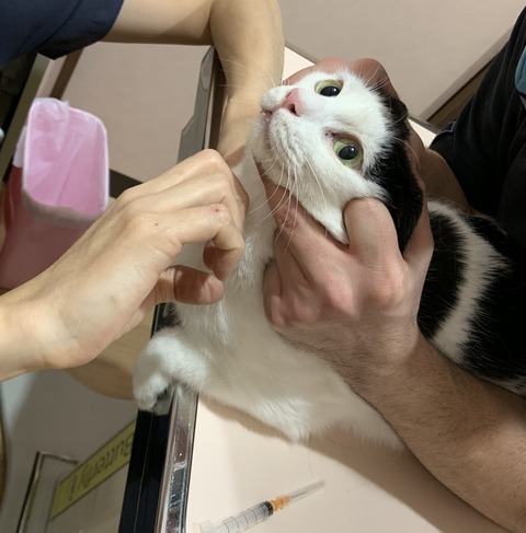 6010AE55-75D0-42F6-BC66-E65FE58F5BF9