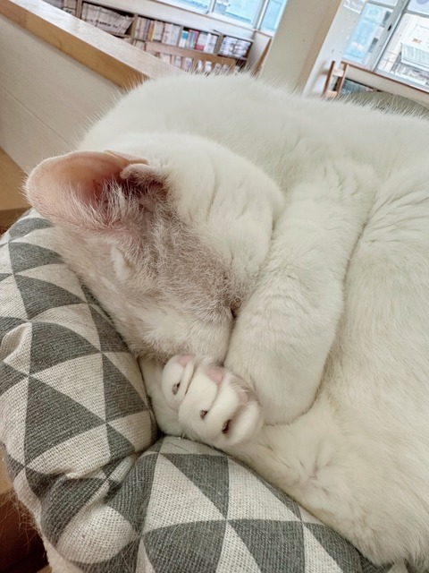 DBF8C021-C0FC-464F-A8D7-A03F6937D04F