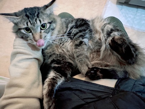 9348B8E8-B622-4B86-A571-7C8E291192CD