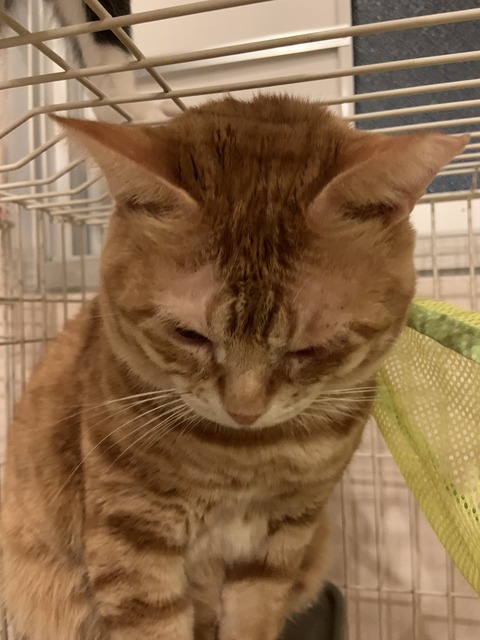 94075A7F-B666-445E-B304-05D9CFA1D55B