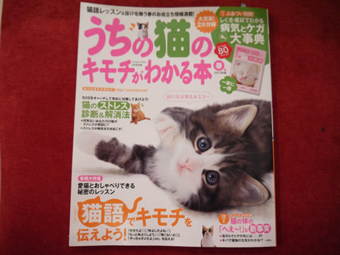 猫式ブログ~里親募集型猫カフェ
