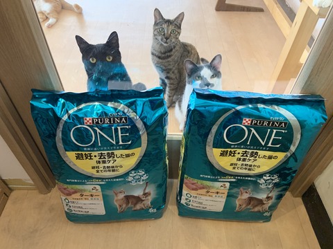 B2285EBB-66DE-49EE-BB6A-A28B3595319C