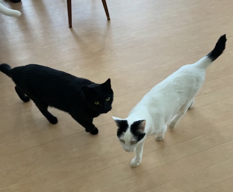 50C70F7F-A22C-439A-9B99-8EA7829A73BB