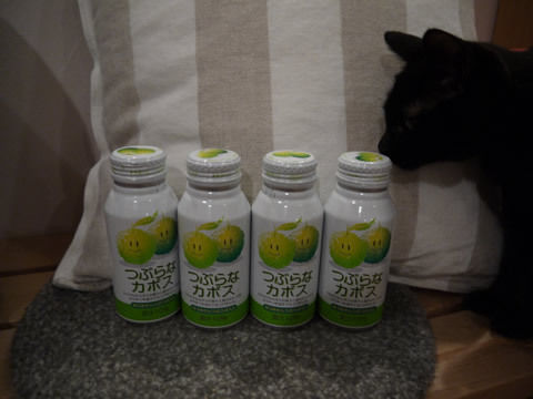 猫式ブログ~里親募集型猫カフェ