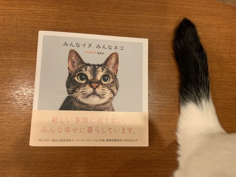 E377B3AD-3F6E-4871-ACB9-2A0C38CE52CD