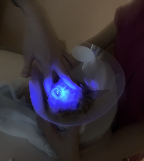 84B0C714-E4F9-4E60-8855-49BE36A0AC47