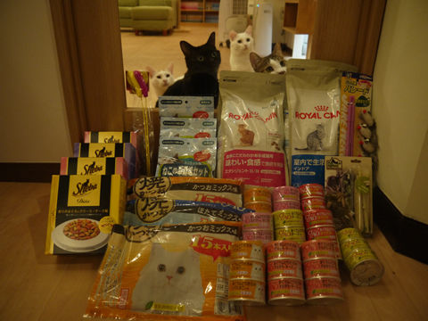 猫式ブログ~里親募集型猫カフェ