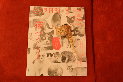 猫式ブログ～里親募集型猫カフェ