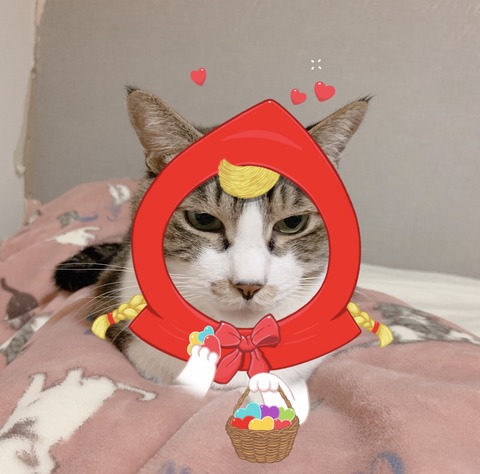 26AABA07-03F9-495B-8ADB-2A0677F4A1F7