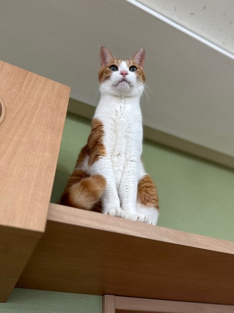 D42AFFCF-117C-4EB1-A688-032D4FE03159