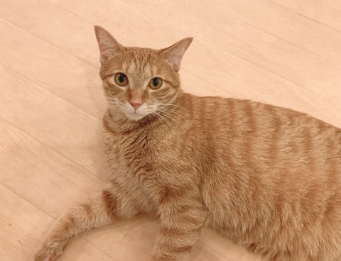 6E21B810-D15E-4A64-918D-B28F0481E38D