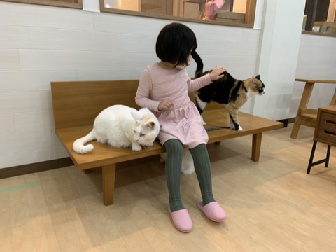 98BFC0B1-A3B5-4BE2-84EC-A264E3458FC0