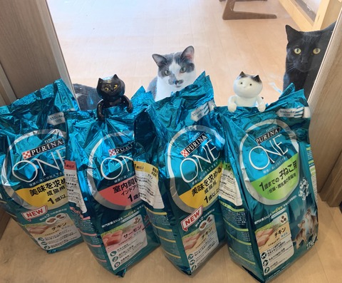 51940CF5-A411-45A3-A621-0284AB7F8065