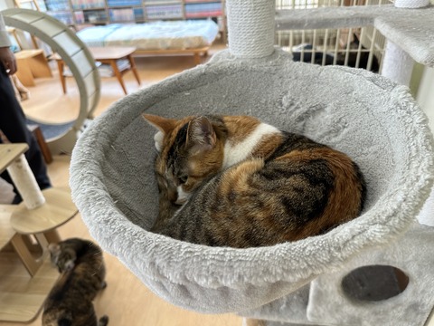 8B48B67C-9DB5-4599-8C0E-32732FF3EC9E