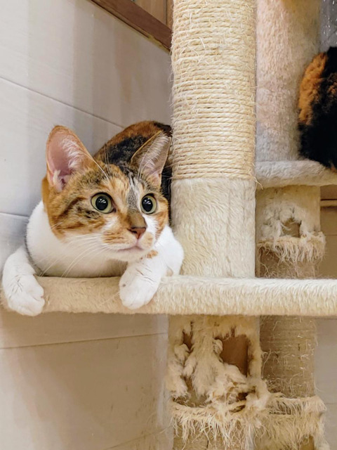 13D7827E-C8A5-4142-A943-51481481AA6E