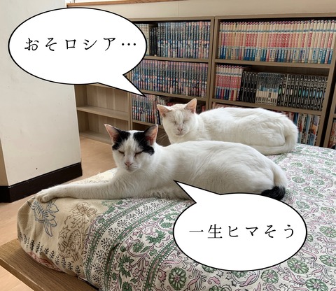 4C1AE69F-A7DD-4243-8211-4D6BFA9DCE5F