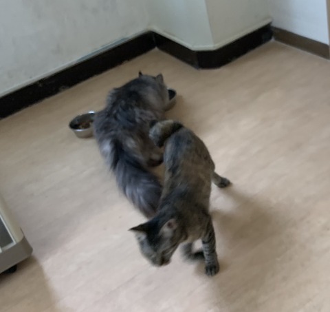 26B6E560-F27B-477A-835D-34FE4E7653FA