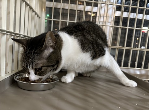 AA7E3CB8-B497-4DF7-86B6-53AD40161075