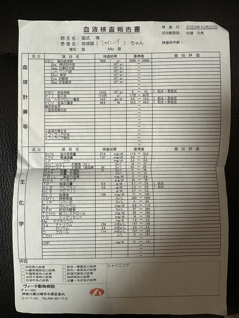 E52F84CA-94C3-42B7-9557-61C315D94D87