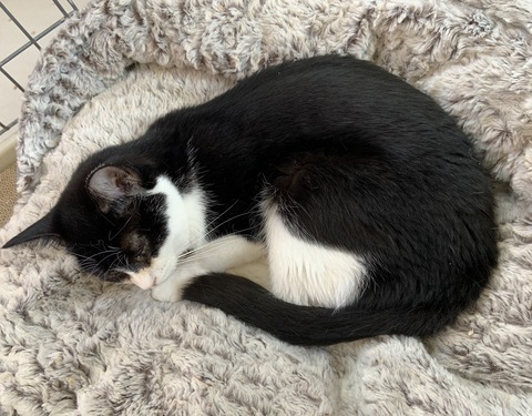 FB3AD77F-9CCE-4FB3-969F-B044AD8E5D1E