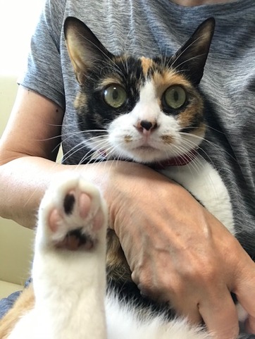 5A7064D6-D10D-42BC-AE78-A47CD03D2B24