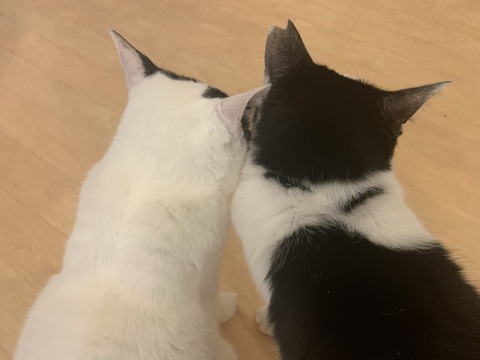 24B826CE-D592-4C44-A9E4-F194FFEFABE5