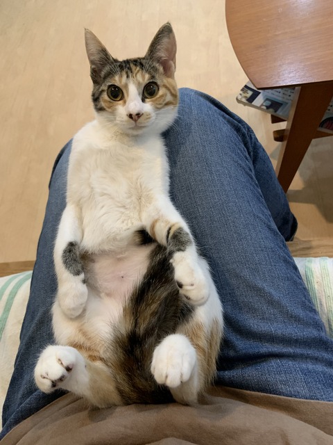 CBE595C0-228B-429D-8DD4-401830FE3754