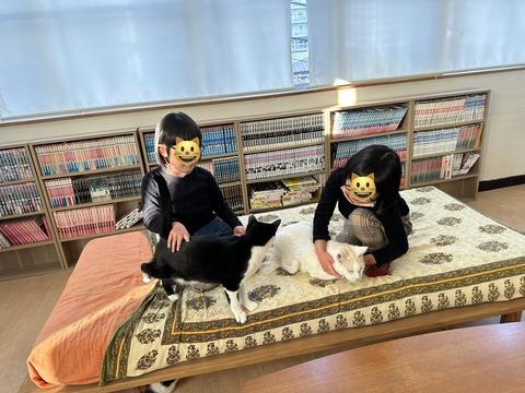 8EDDA82E-2666-4E8F-9706-031E4349796B