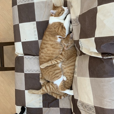 A6D54A38-E2BB-48FC-A461-FF68C63D2396