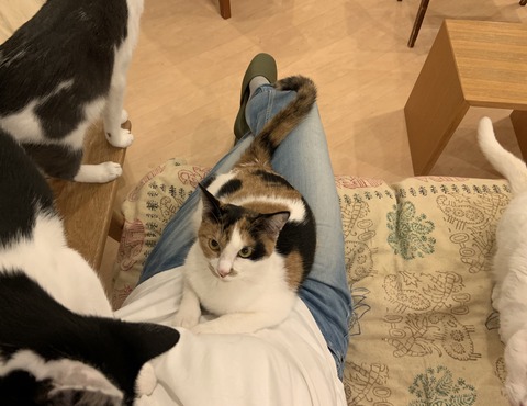 1EFB9F89-4F1D-480C-944A-6B27BA070FF9