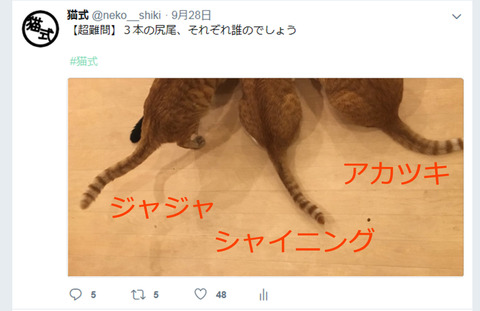 名称未設定-回答