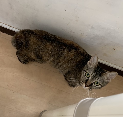 6B94210B-1F2E-4C25-B5AB-19AC3C7636E7