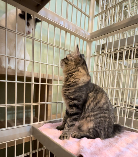 EA94F7F7-144E-4C98-9E4D-3DBB9941AA8C