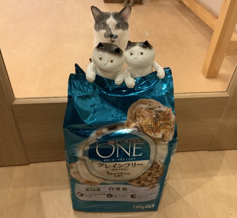 CDA47EA1-404B-4B2A-BD89-42FF58CB7606