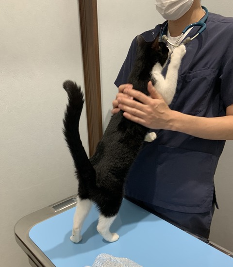 2EACBDC3-BE6C-4196-91B2-141B843893EF